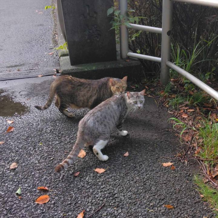 2ca589bd ac56 498a 89c1 e376e29983a5 1692746095235