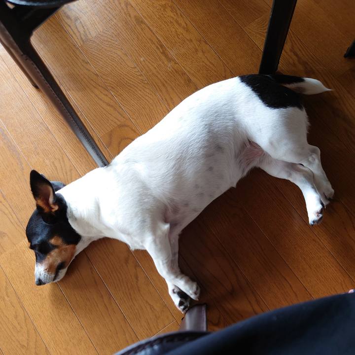 2ca5c6e9 766f 4979 b15d 767220e528a2 1693724302769