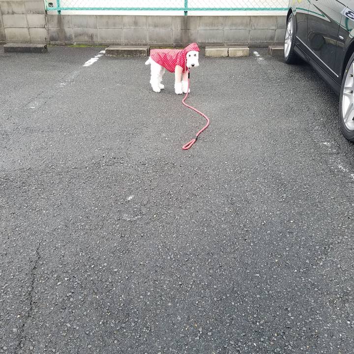 2ca5daf7 af1a 4b79 b5d0 1f906748b535 1581821896162