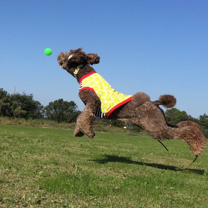 2ca5f5ba b887 4b3b 83c3 b2e08772ba44 1509014137846