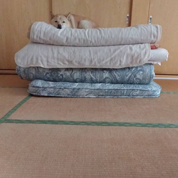 2ca602c3 6139 4148 b213 09bf378d3ac1 1607404462489