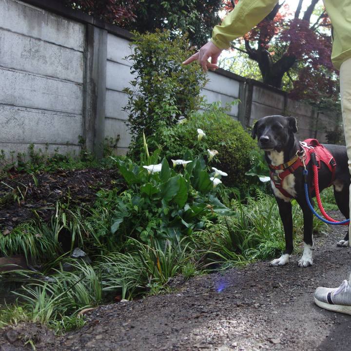 2ca60465 db49 4eba bf67 ffdec3018854 1587432164773