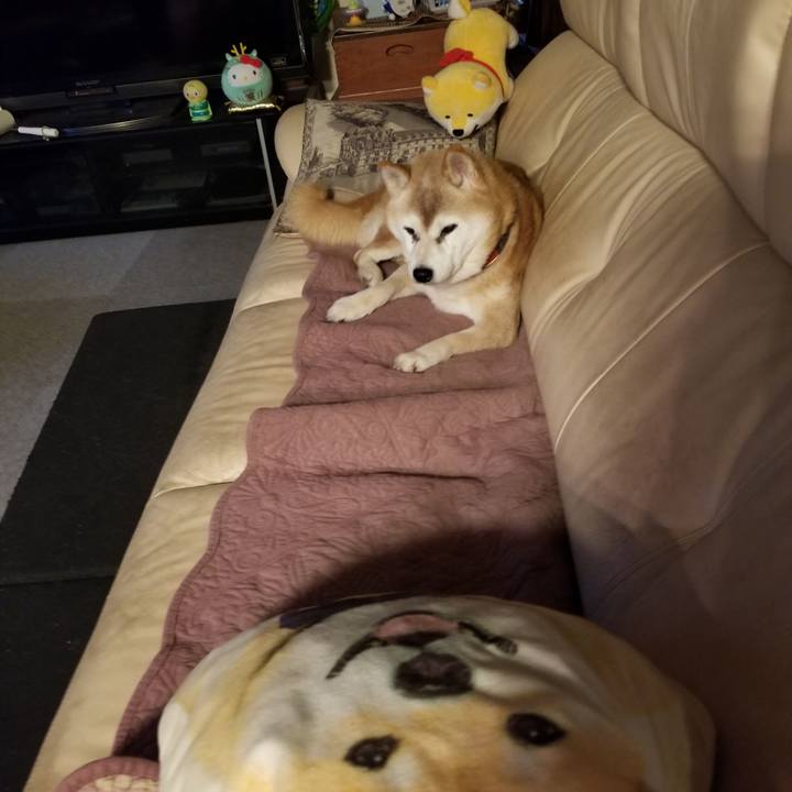 2ca63bf3 e972 4e7f b3e9 5eb85cde4d8a 1761810847300