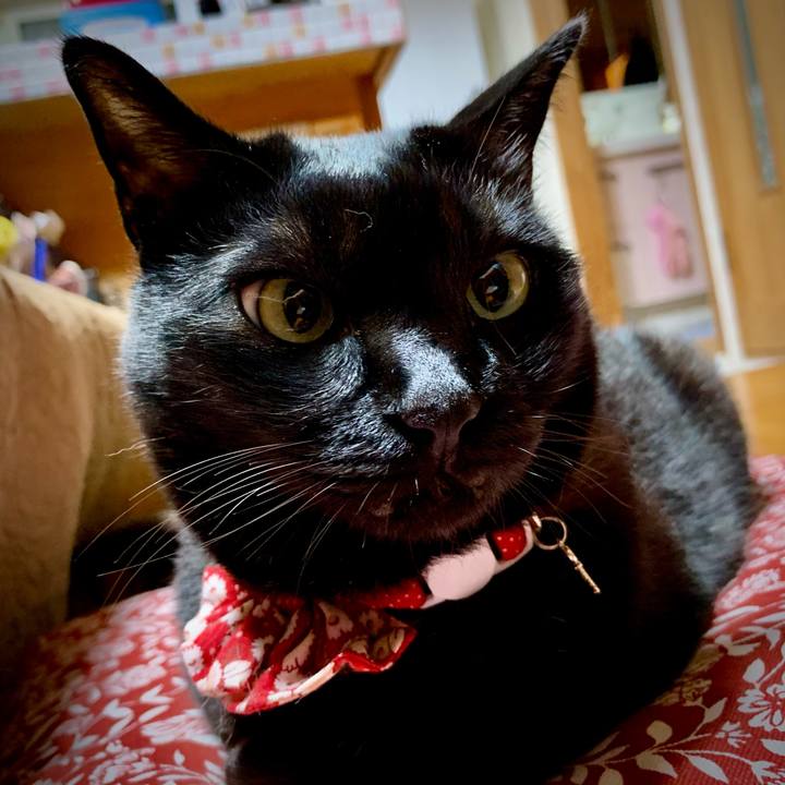 2ca643b8 47cc 404d bb16 5ee2ad2752b5 1616248027476