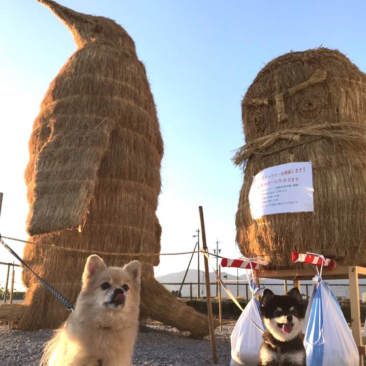 2ca6a14a b853 41ec b84c 5bcab9526aef 1606995385954