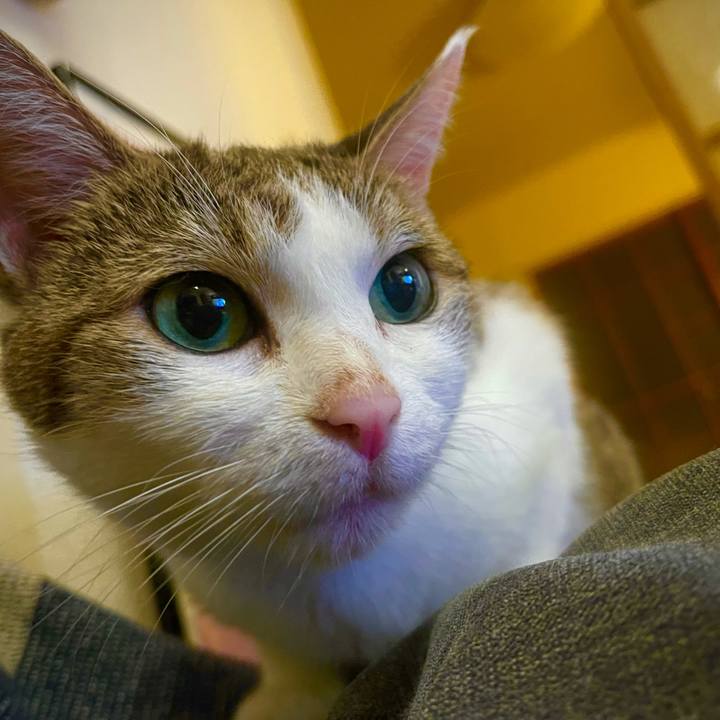 2ca6a52d 4803 4c16 a37b 36c5b2ceb328 1628335842005