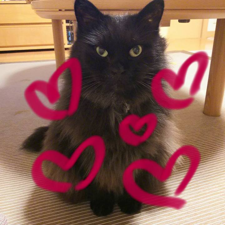 2ca6a534 5559 4871 b724 22be8dff519b 1534551728256