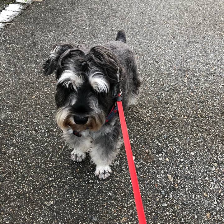 2ca6a778 1c63 45cf 85cd c5e28cb00f1c 1630747866833