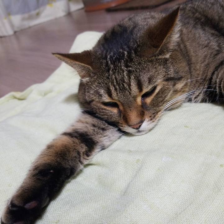 2ca6c6e4 a692 4aa2 8602 5cd6804bdca2 1594989574199