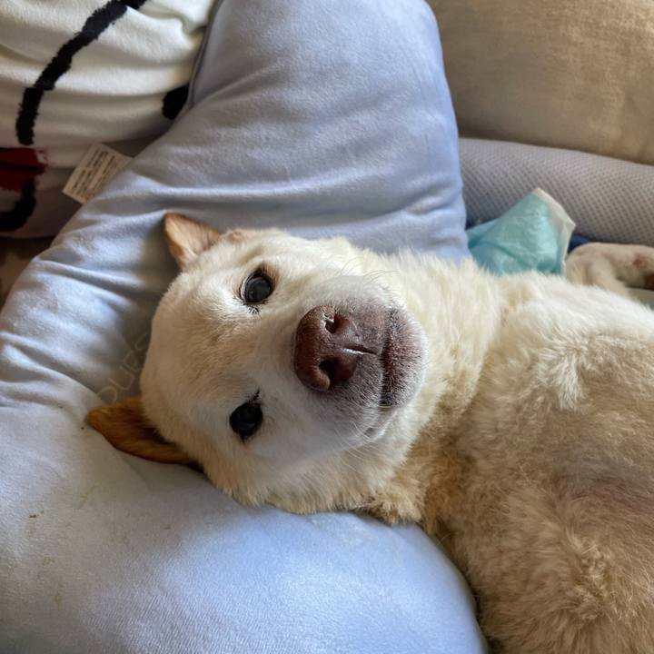 2ca6d2c1 6709 4244 bb15 e1e97b8faa8e 1680953594456