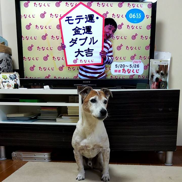 2ca74d7c afe2 4924 90c6 91b9b5130bff 1558303598204