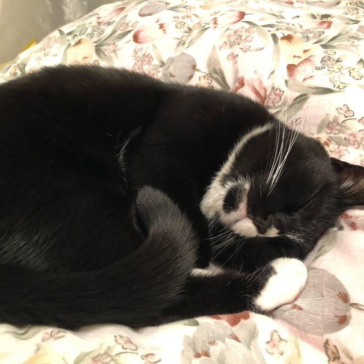 2ca754e6 3aca 4ccd 96b1 ecdadde8e7fe 1544259385998