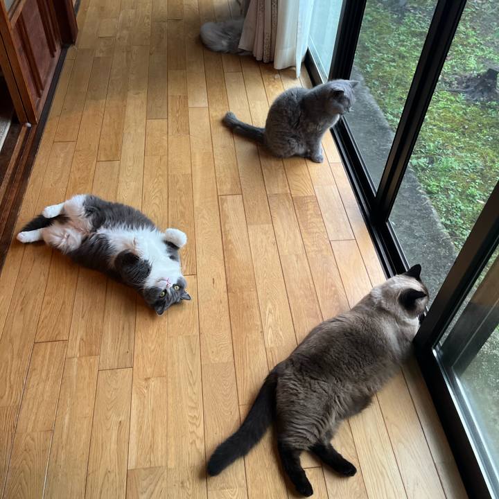 2ca78e78 8488 4c77 8bd0 e46244f7ed4f 1661255952153