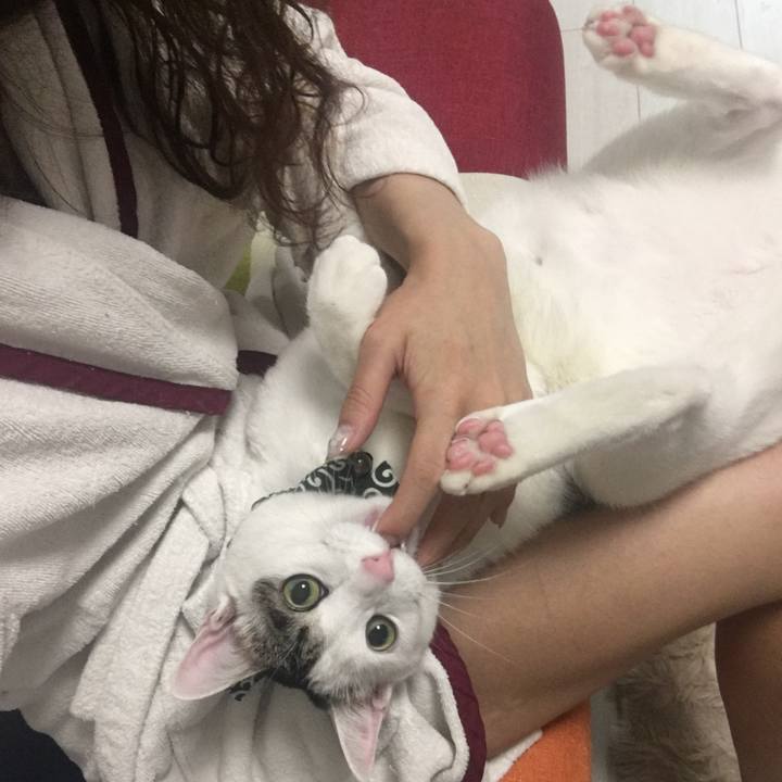 2ca79d15 99a1 4004 b8d5 989cda41de31 1523752954923