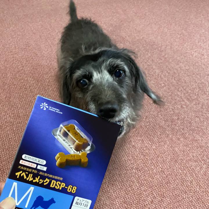 2ca7ad9f 01d3 4452 9205 70b0fe04b7c5 1636586728160