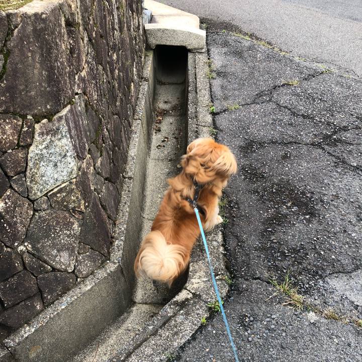 2ca7e14f 359c 4c10 b5d5 76cb165b3590 1561768266545