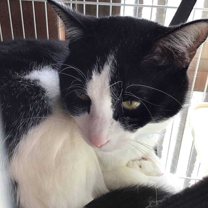 2ca80dfa b50b 4a98 97e4 cf464e3ef1bd 1705638425615