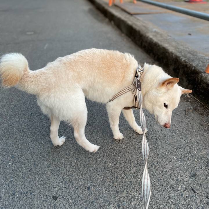 2ca83b58 ee18 4797 8b13 caea8a2c42cf 1646153752850