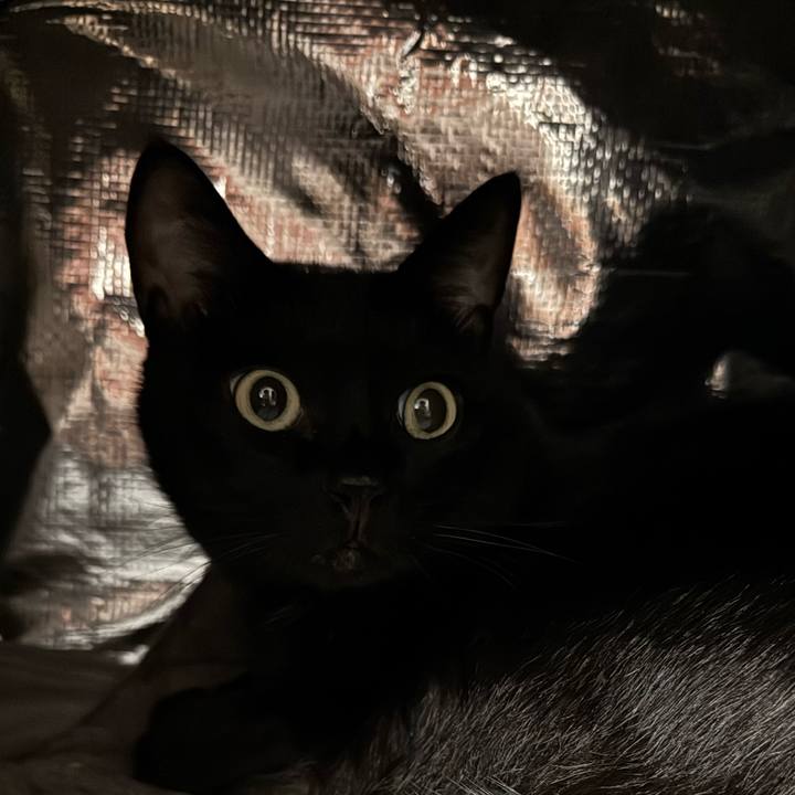 2ca86391 8a35 4eba 9bf8 4e0b8796b6ea 1760702639227