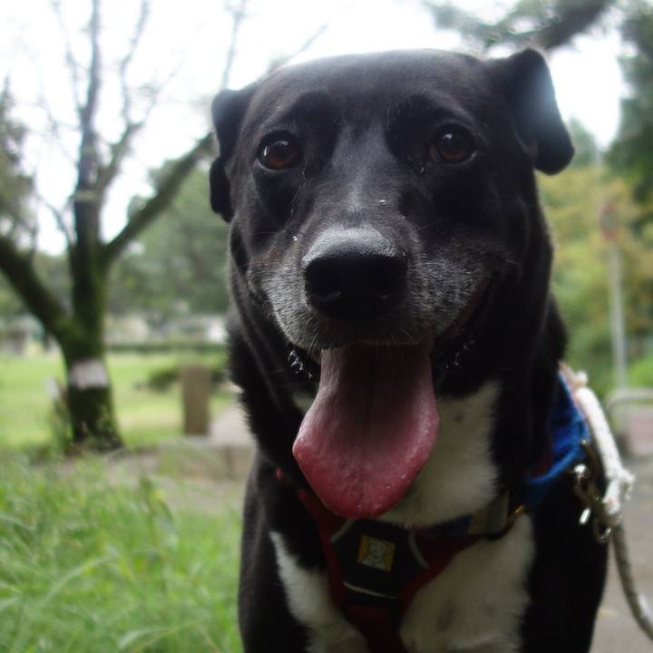 2ca87713 0d4f 4785 9d26 db10df86fd35 1663631170757