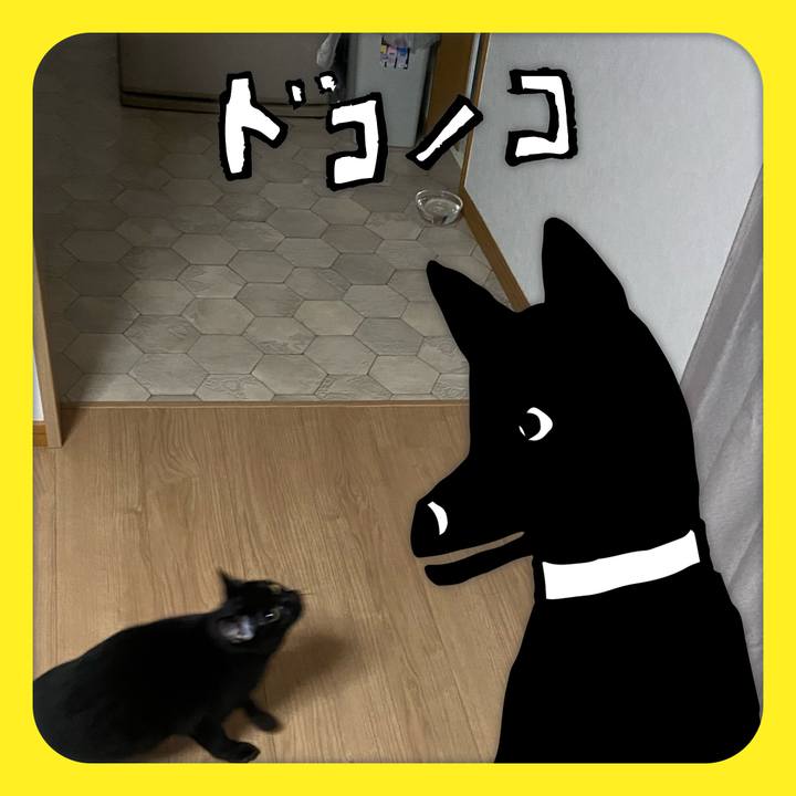 2ca8adca f9ae 4010 bda1 34e1f423625c 1622983521545