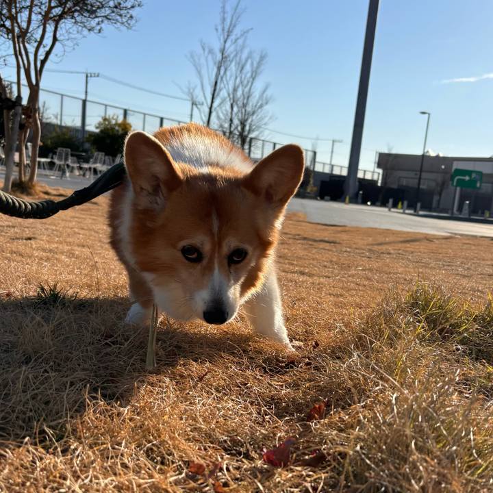 2ca8b415 fa41 43bc 8198 3d0ec4e21aab 1768044630747