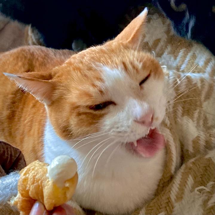 2ca8e1a5 d2fe 4354 a24d d535c42b9eb0 1649486698767