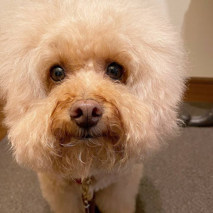 2ca8e62c 5804 47c2 8336 d11ccb620c16 1690023741767