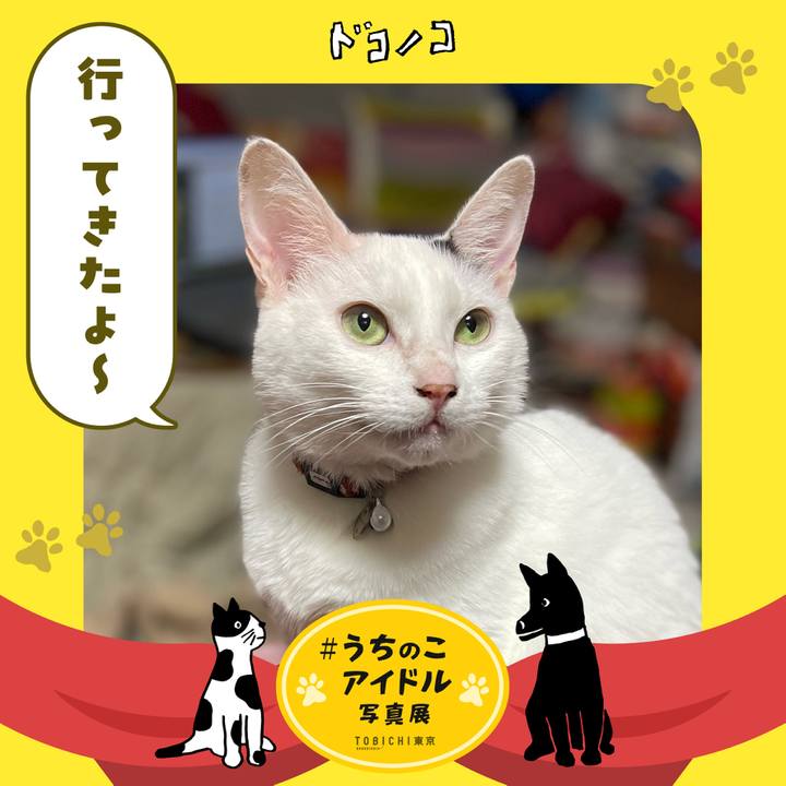 2ca8f256 c0b3 4067 8aaa 63dd3779298d 1761367657914