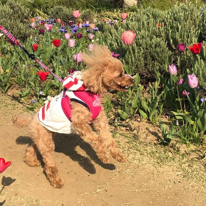 2ca93591 391e 454f a3b1 797b2a1d4622 1554881741775