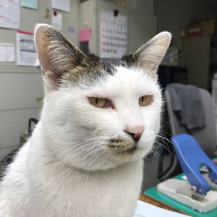 2ca94708 05cb 46cc b9ee bd738ad1a599 1517992219571