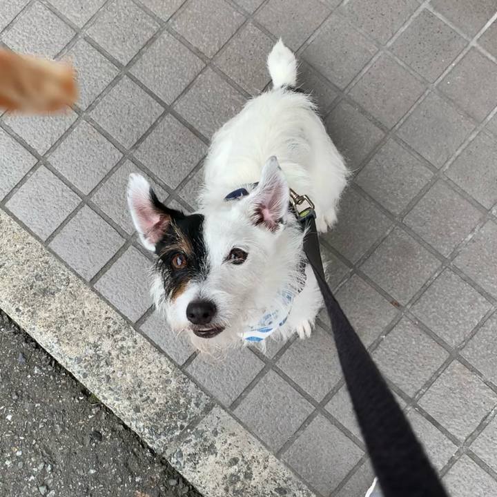 2ca98b19 b659 4dad ae56 dc84a5cebc90 1658738679076