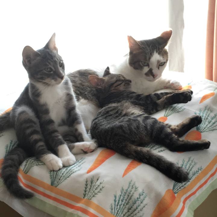 2ca9d81a 8959 4a52 9060 785e5433345e 1534509239375