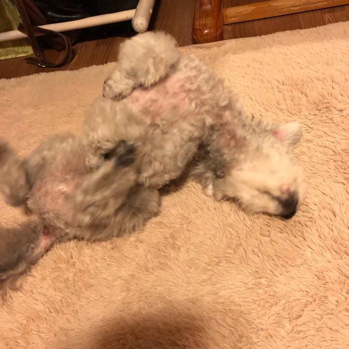 2ca9ee2c 6a7f 4248 81b6 0c53a641a1be 1547767638756