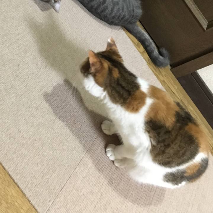 2caa8527 7c49 4e1e 9f7b 2a3027c48819 1539691595713