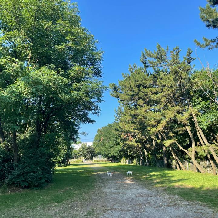 2caa98ff a4db 49a9 87cf b2371d65b778 1690411843394