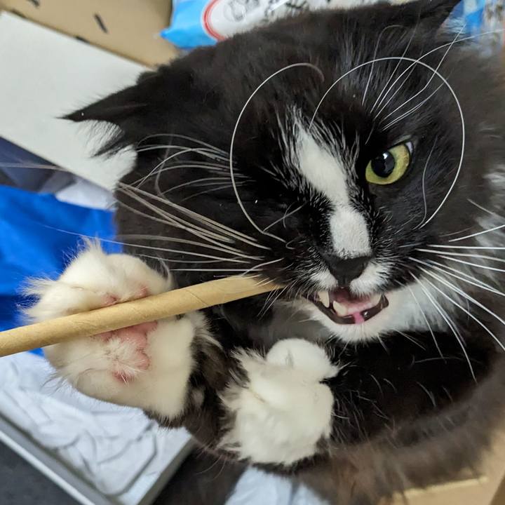 2caabea3 5bca 4315 9adc 9545a9e1d086 1706748311717