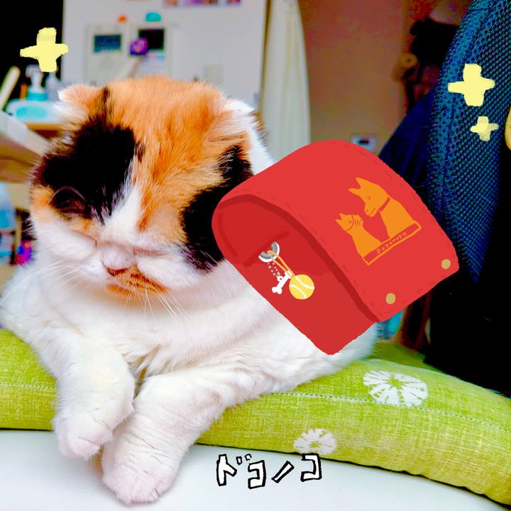 2caabec7 cc71 4e08 8650 6ad971d5982a 1744330683973