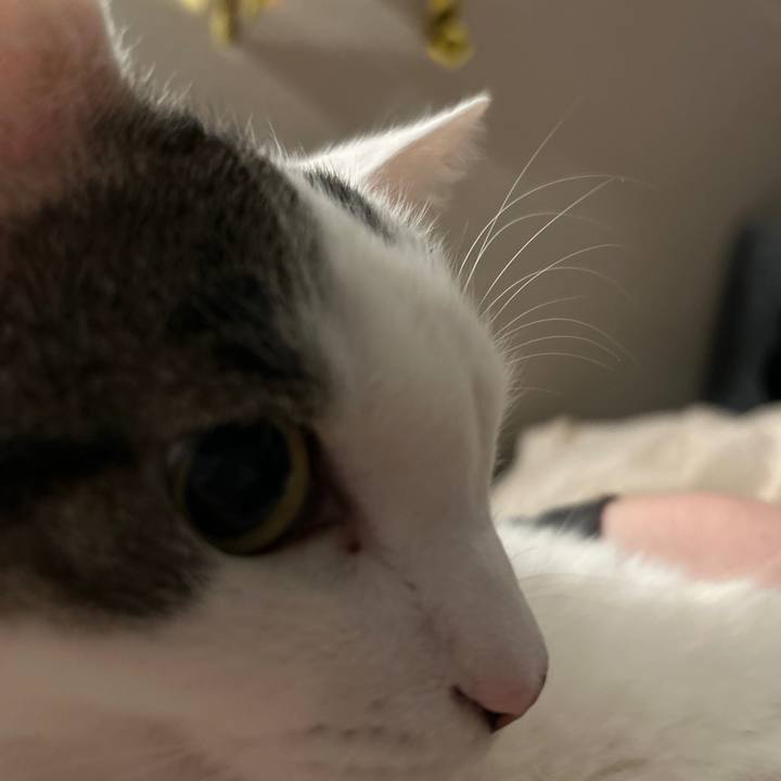 2cab0bd5 31d0 4795 a894 27b858cc165f 1765846724053