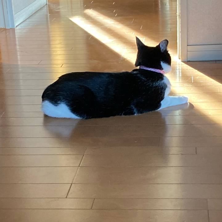 2cab835c d994 4bcb 8072 e818f05ef8d4 1621066266054