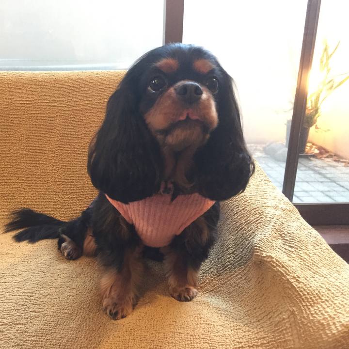 2cab8f18 8a48 45be b3c7 8d9ea19f543d 1513875680130