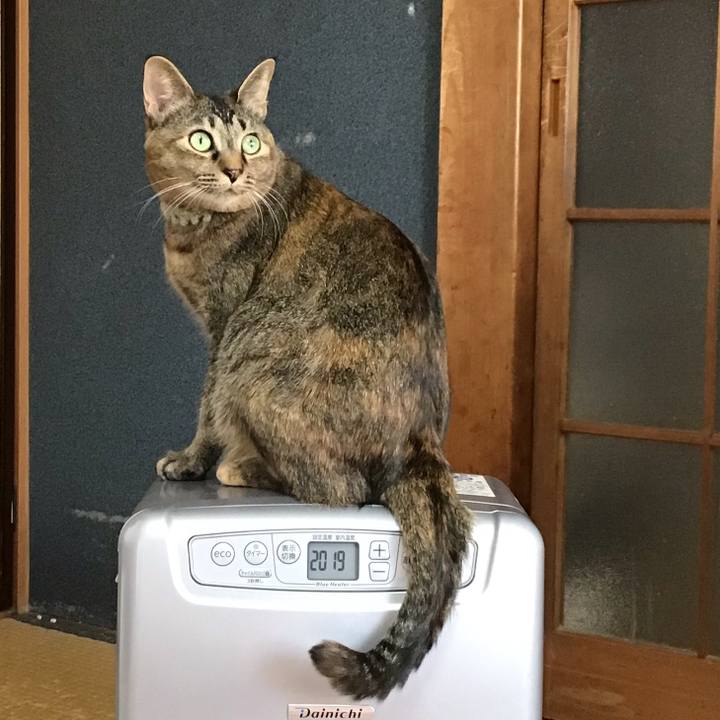 2caba719 fbb5 4058 a218 45ef43c9b08f 1643680310712