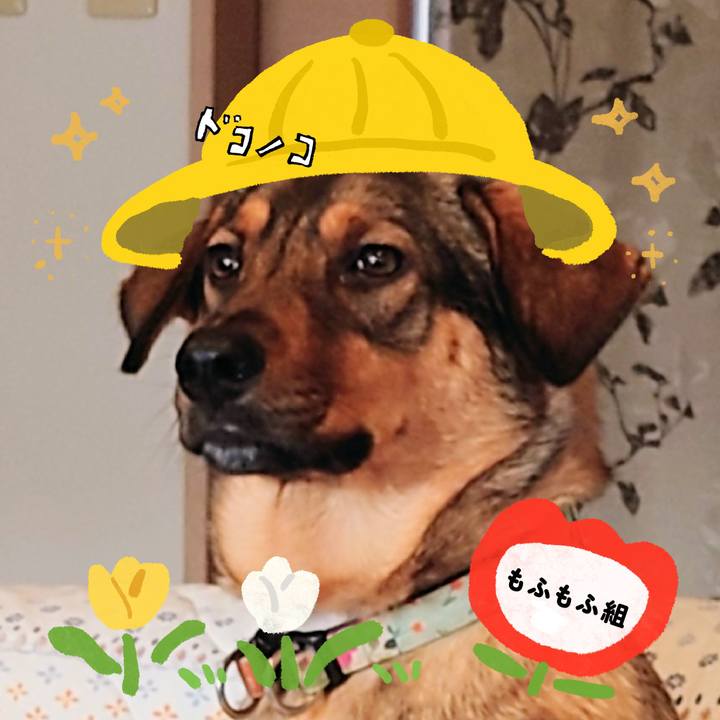 2cabae46 8dba 4b98 813e 82df6fabe82c 1712306704800