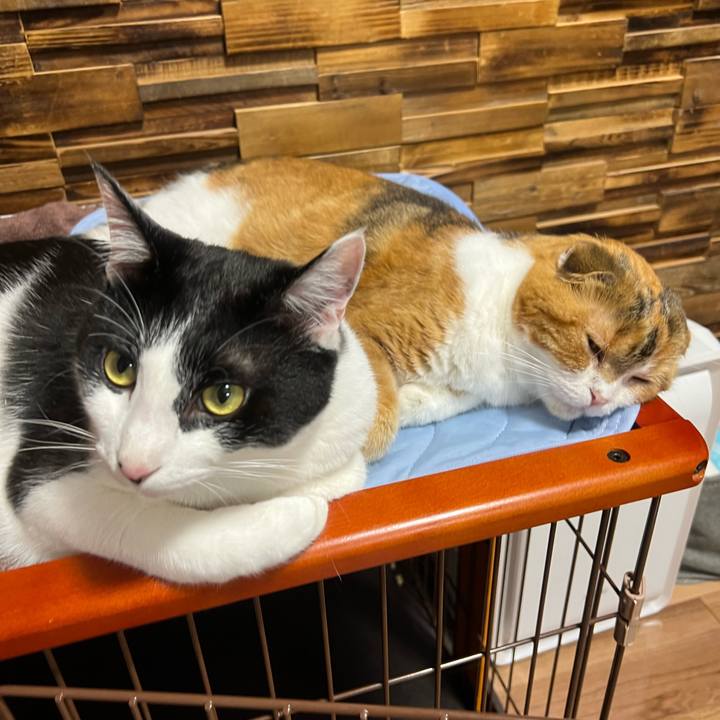 2cabb598 b10a 49b2 88cc 19d710099dca 1654265801617