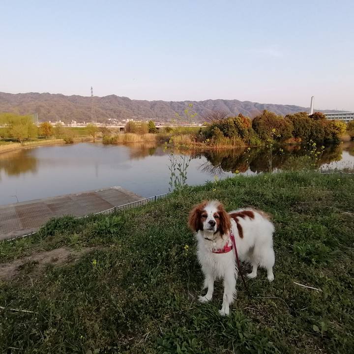 2cabb927 87f9 487b 8306 d57af0a33054 1586433035571