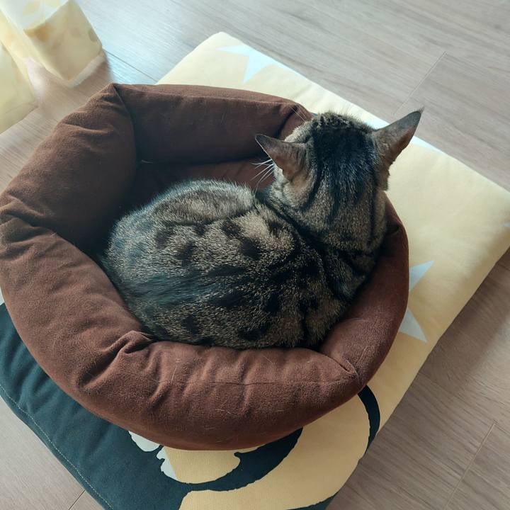 2cabd747 2e4a 4cb7 837f 6f156f7d1ade 1637460350668