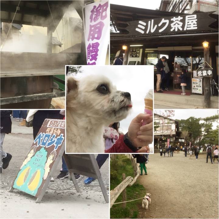 2cabf946 1527 48cc 8535 846a4d8319bf 1561626999725