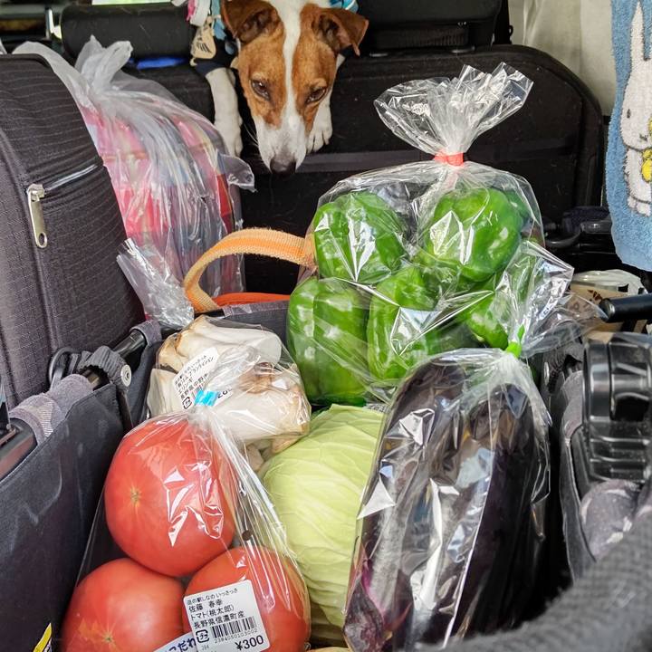 2cac1992 39c0 419b b71b 727f9da2f3bb 1658126827422