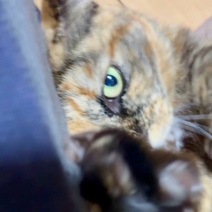 2cac5845 882a 4f23 8c40 e7f1da621ed5 1769003001069