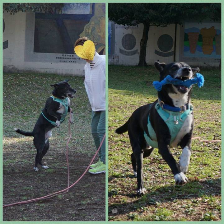 2cac673c ab55 4407 9604 700ce563dfcb 1774054882834